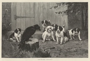 Quoth the Raven, Never More!